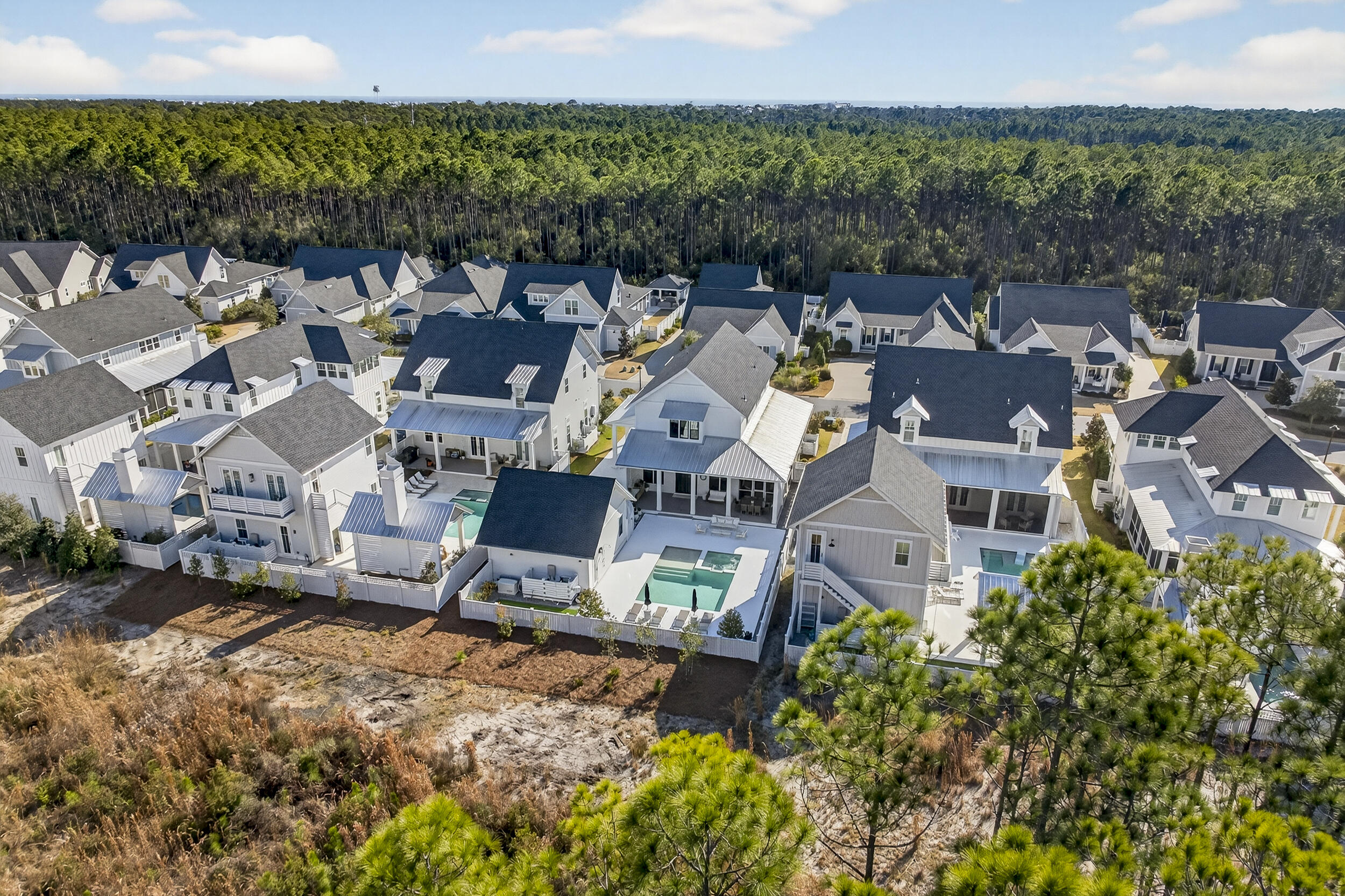 72 Rosecourt St Inlet Beach Inlet Beach, FL 32461 - Photo 63 of 63 DJI_0066