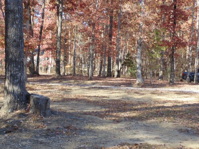 1024 Deepwoods Road Sewanee, TN 37375 - Photo 4 of 38 a view of dirt yard with a large tree
