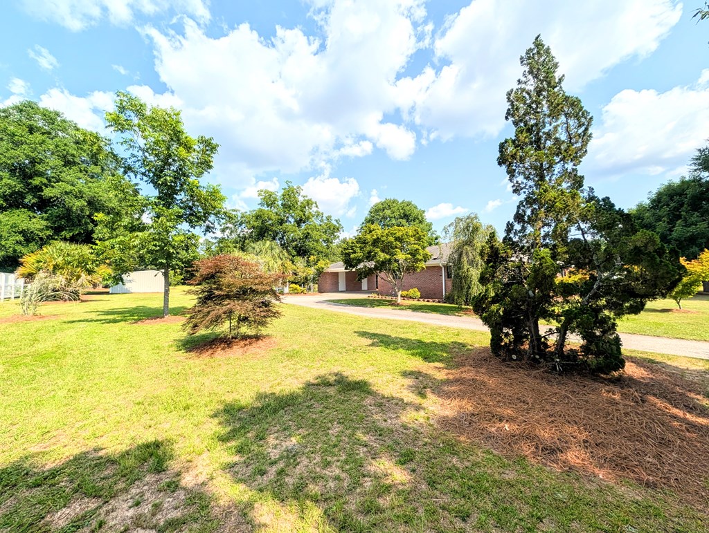 3117 Holland Road Newton, AL 36352 - Photo 62 of 78