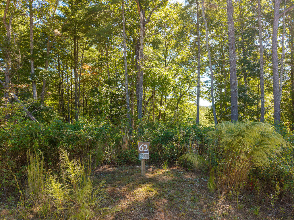 Lot 62 Ridge Drive Blue Ridge, GA 30513 - Photo 3 of 17 Gallery Image 3