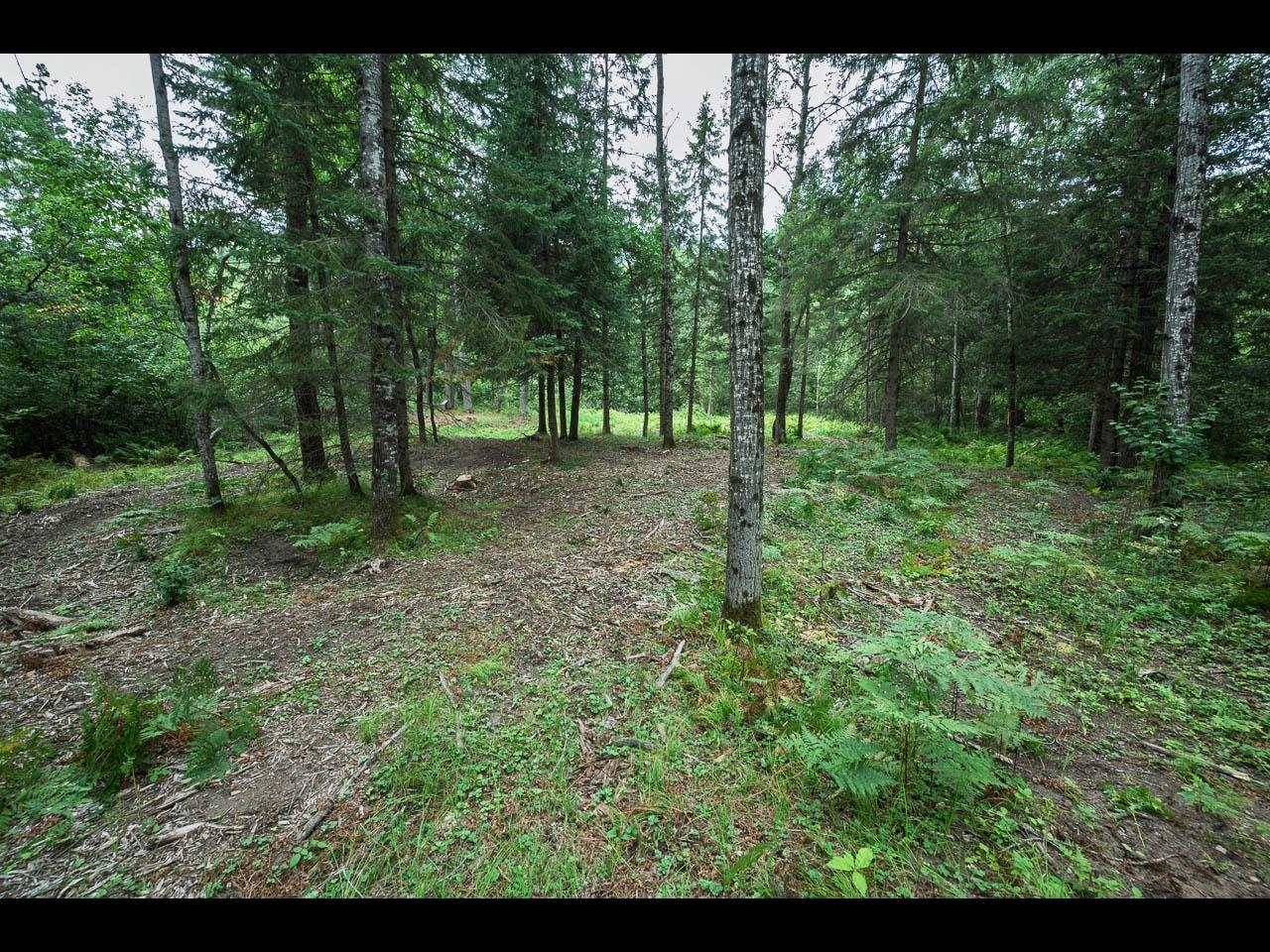 10297 Rocky Run Road Harshaw, WI 54529 - Photo 5 of 21 Gallery Image 5
