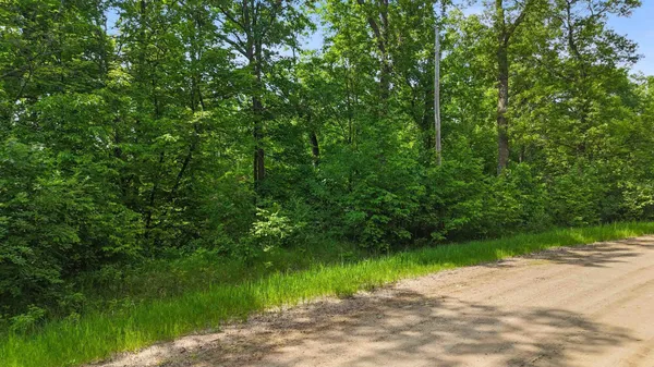 $60,000 | Xxx Pinewood Court, Browerville, MN 56438