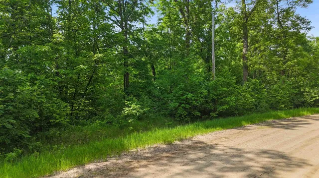 $60,000 | Xxx Pinewood Court, Browerville, MN 56438