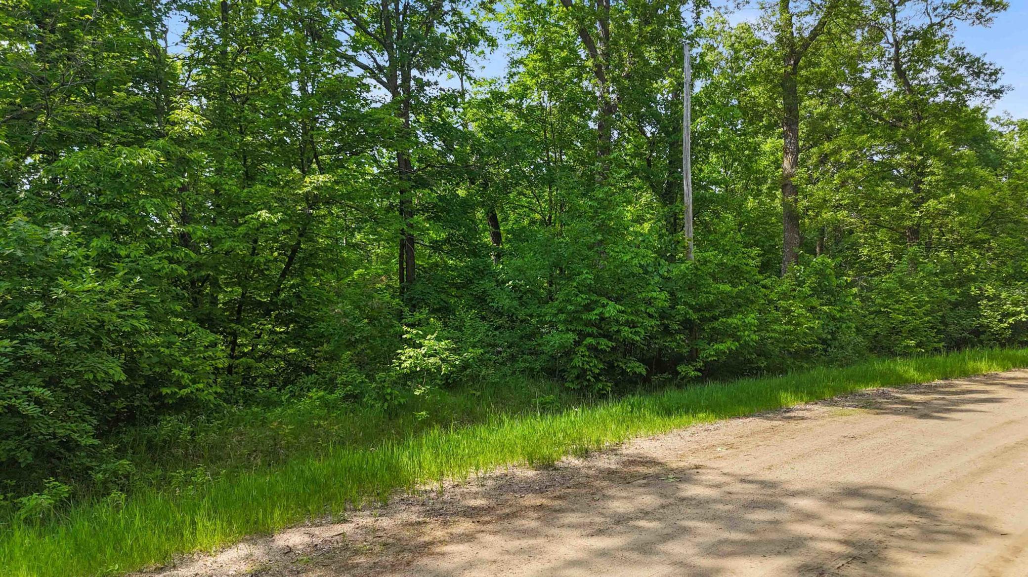 Xxx Pinewood Court Browerville, MN 56438 - Photo 12 of 12