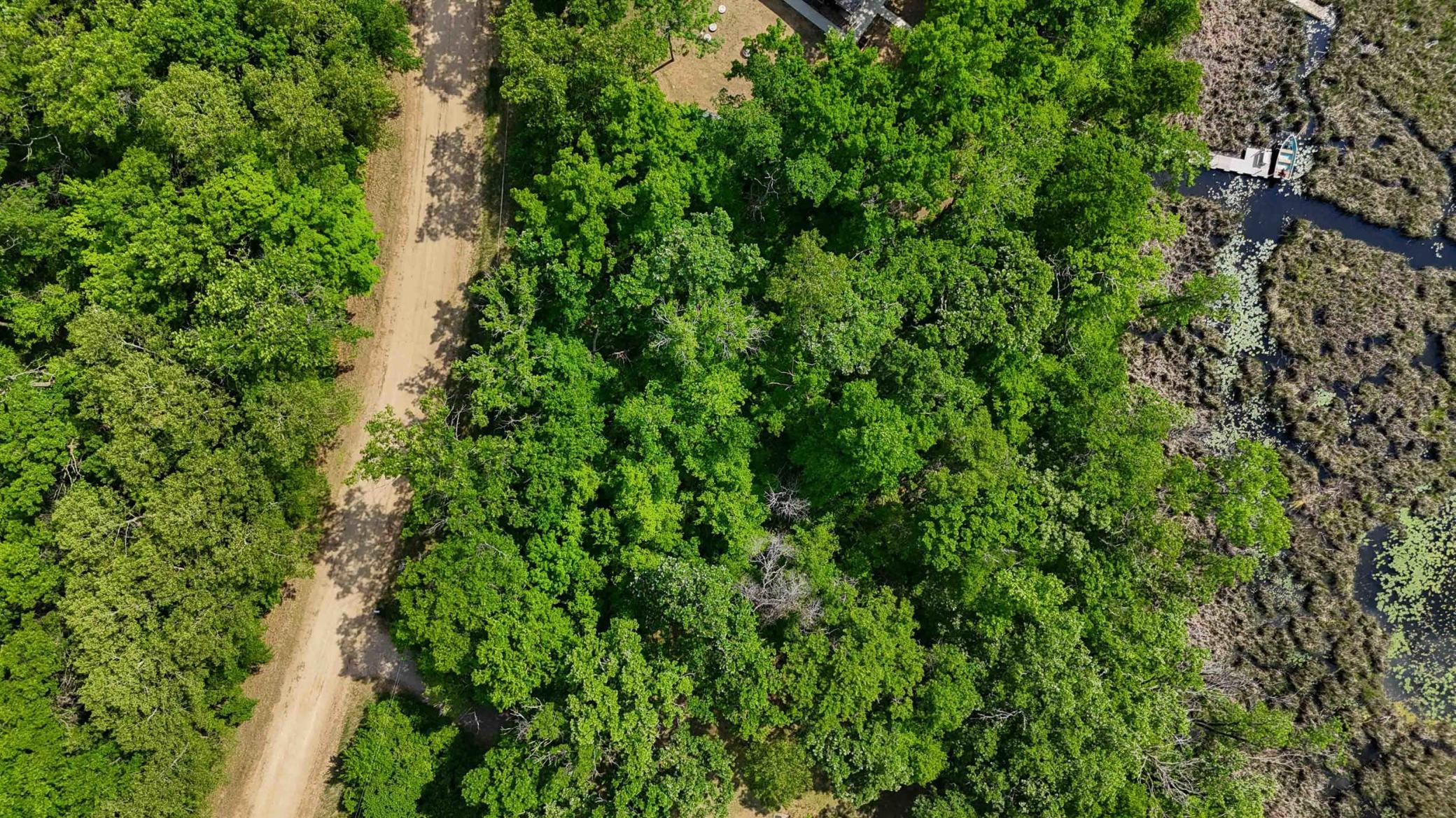 Xxx Pinewood Court Browerville, MN 56438 - Photo 9 of 12