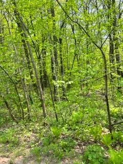 $60,000 | Xxx Pinewood Court, Browerville, MN 56438