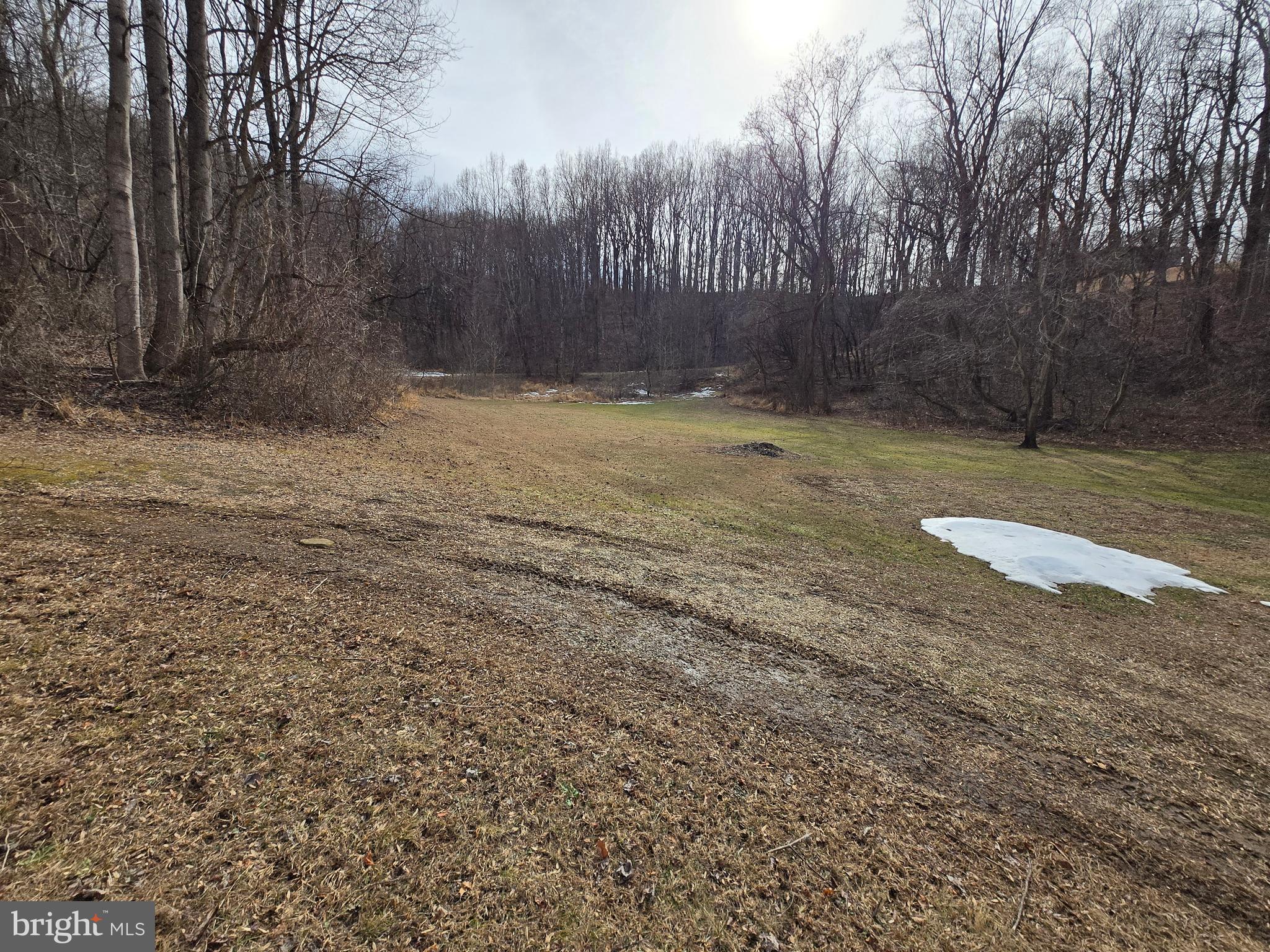 2996 Etlan Road Etlan, VA 22719 - Photo 21 of 27 Gallery Image 21