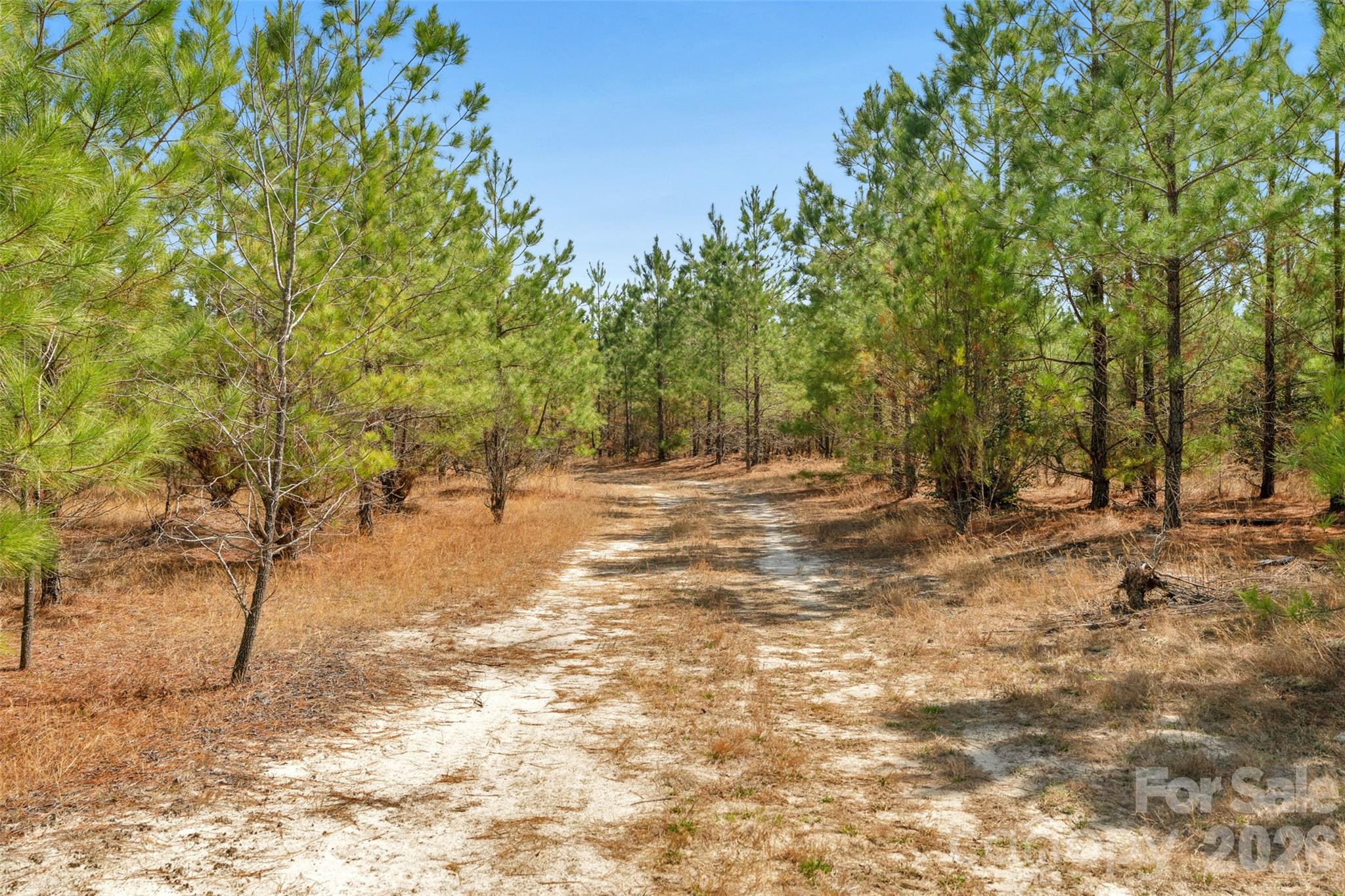 931 Charlie Johnson Road, Unit 7 Kershaw, SC 29067 - Photo 25 of 34
