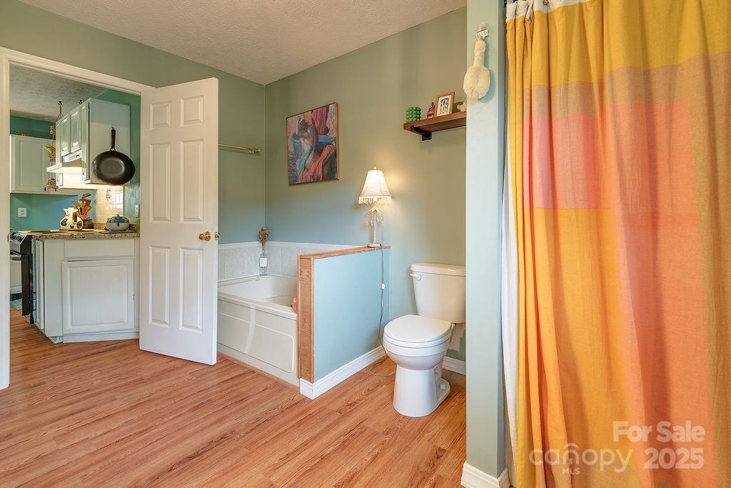 124 Beaverdam Loop Road Candler, NC 28715 - Photo 18 of 31 a bathroom with a sink and a toilet