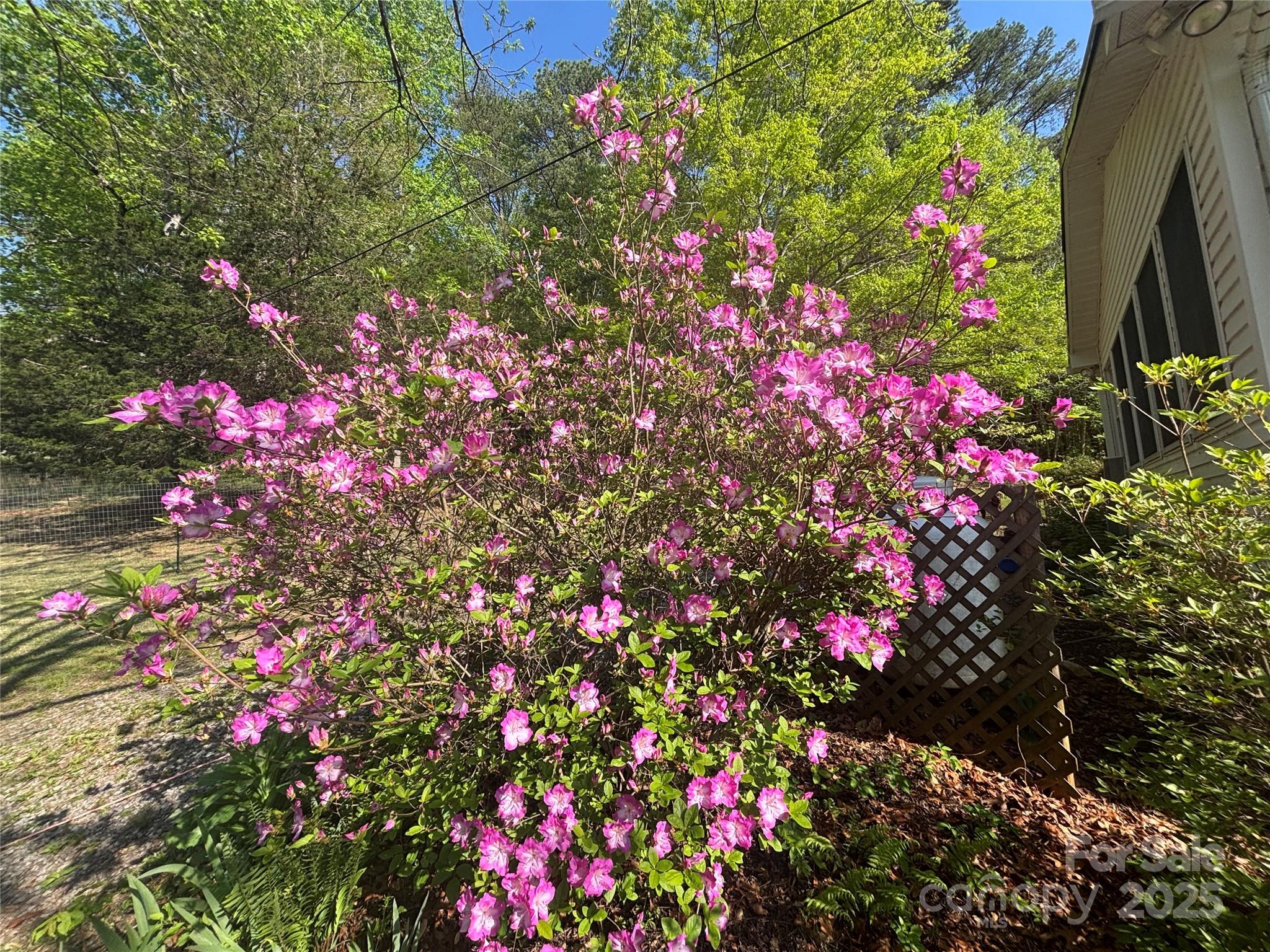 124 Beaverdam Loop Road Candler, NC 28715 - Photo 31 of 31