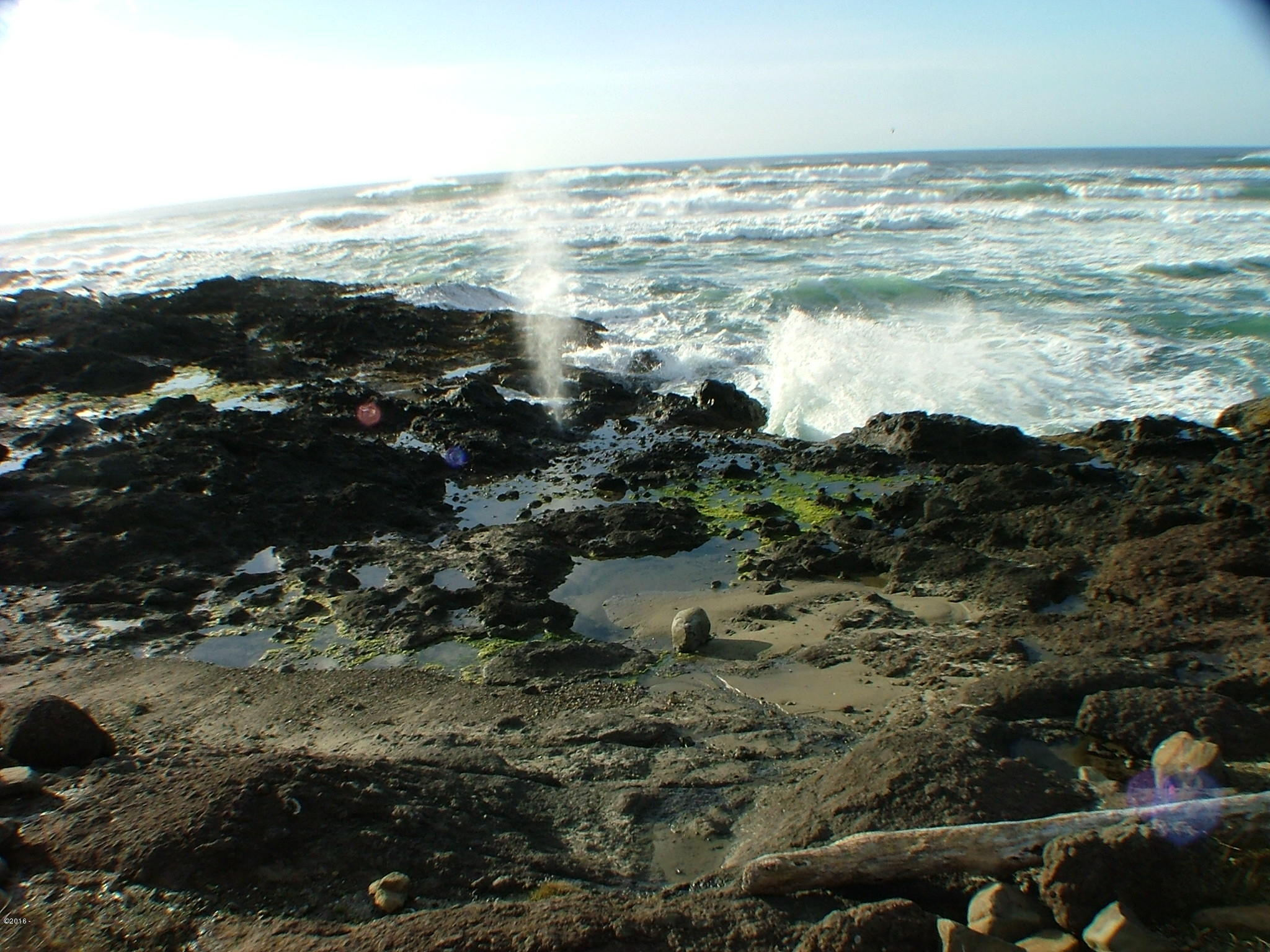 168 East 3rd Street Yachats, OR 97498 - Photo 4 of 13 Yachats Blow Hole!