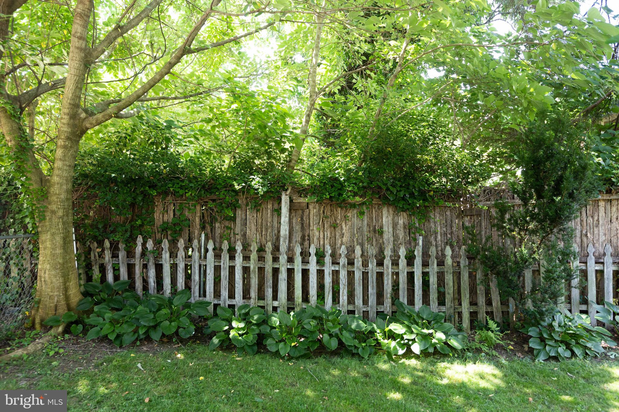 4603 Schenley Road Baltimore, MD 21210 - Photo 32 of 37 Backyard