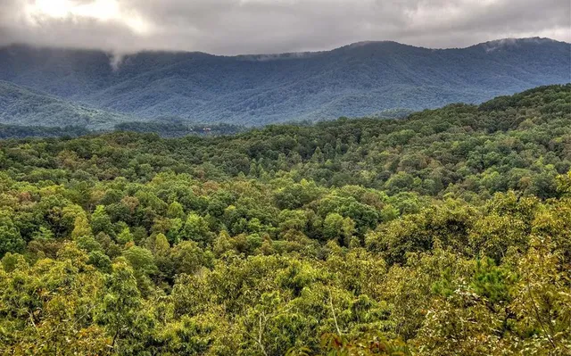 $699,999 | 848 Maggie Chapman Road, Blue Ridge, GA 30513