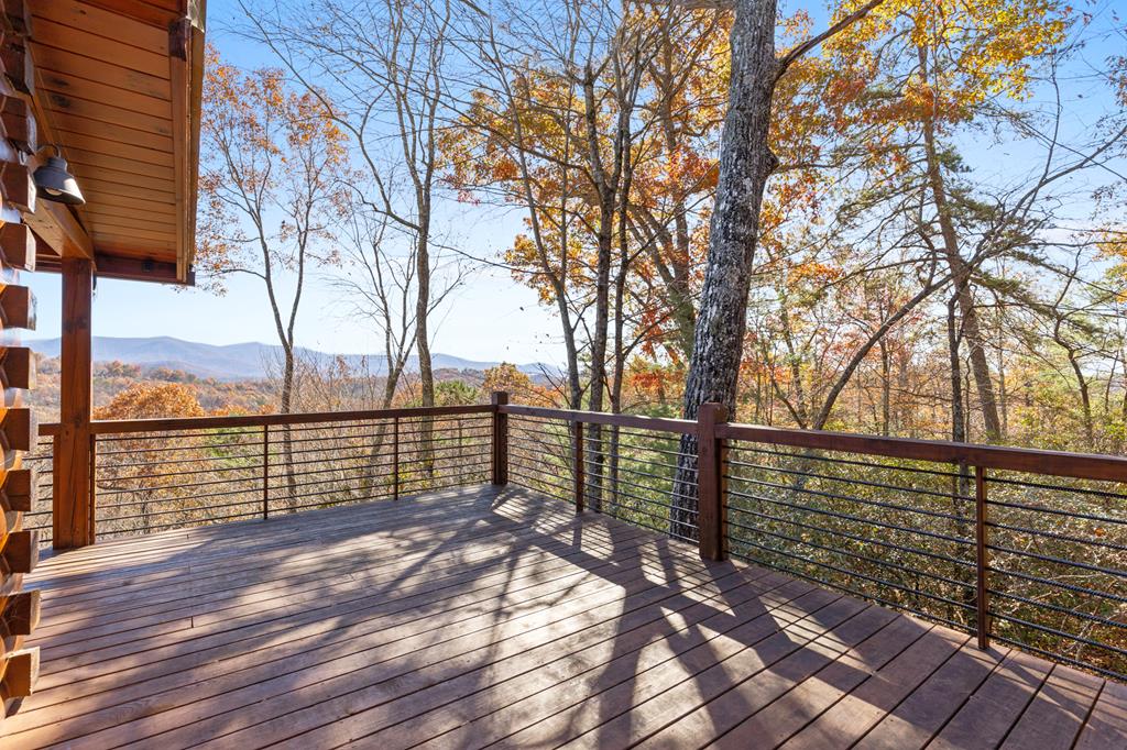 848 Maggie Chapman Road Blue Ridge, GA 30513 - Photo 14 of 22