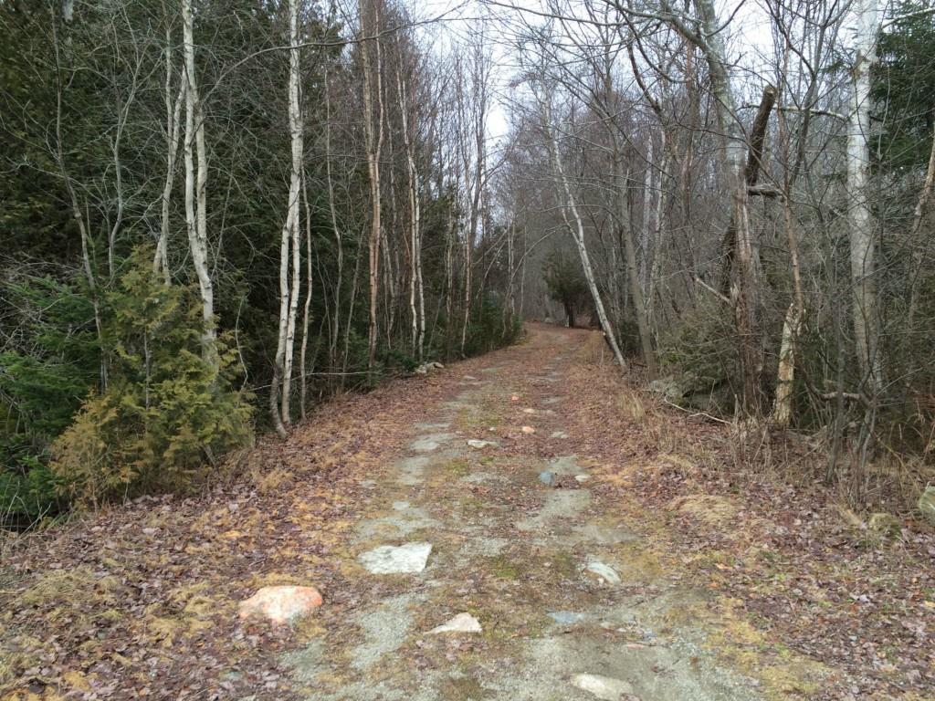 93 Cape Road Seal Cove, ME 04674 - Photo 3 of 3 Photo