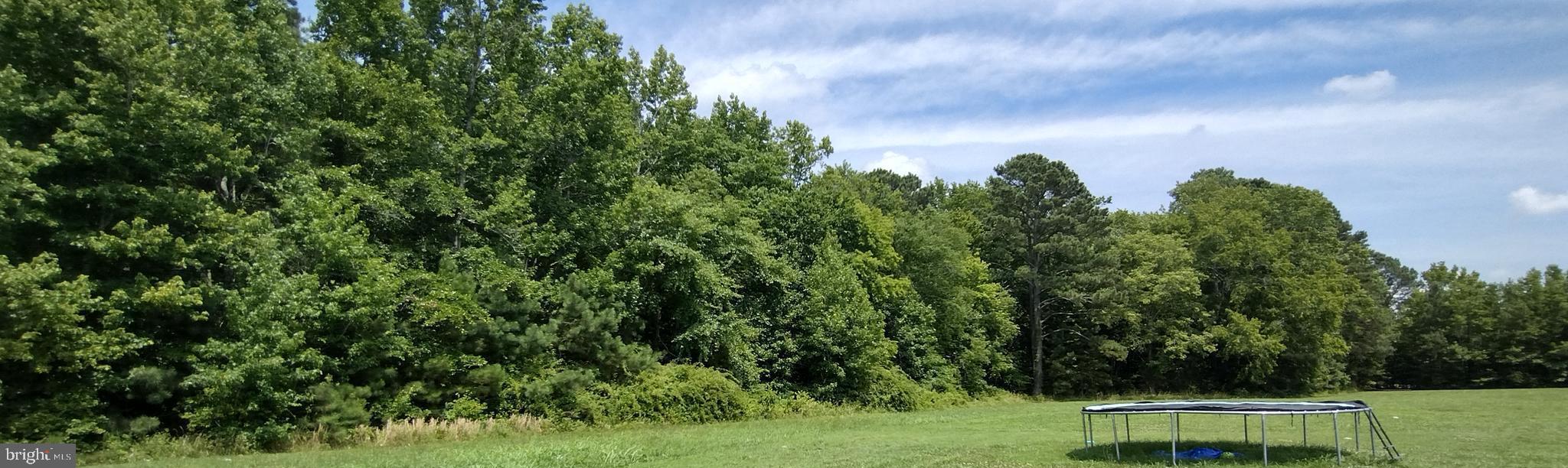 8403 Mennonite Church Road Westover, MD 21871 - Photo 1 of 9 Wooded area