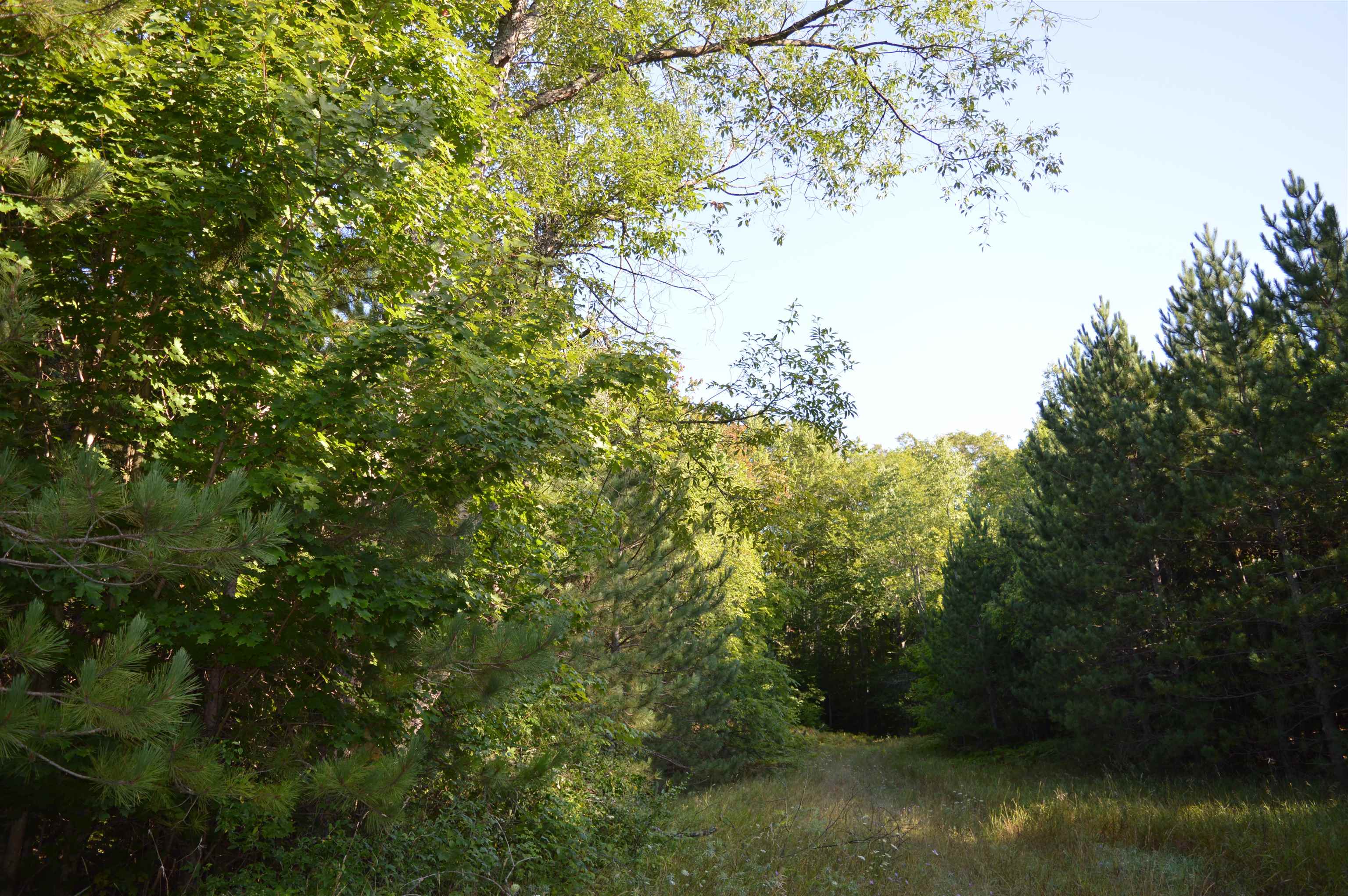 West Leonard Road Mancelona, MI 49659 - Photo 16 of 28 Gallery Image 16