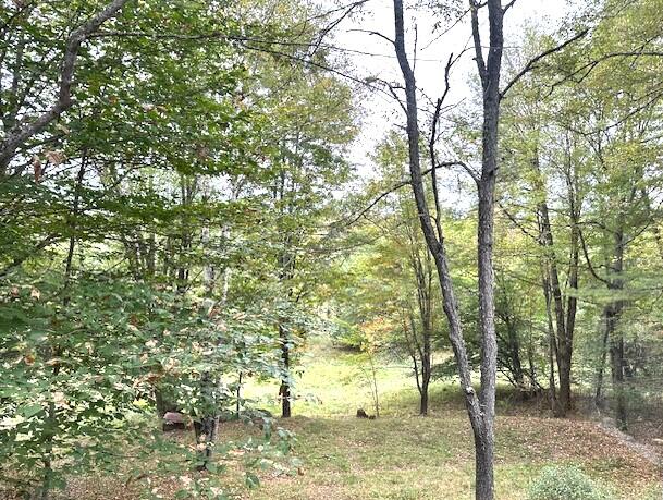 176 Long Falls Dam Road New Portland, ME 04961 - Photo 11 of 40 Land