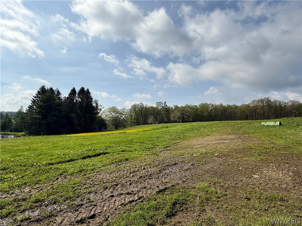 4083 Closser Road Allen, NY 14709 - Photo 26 of 36