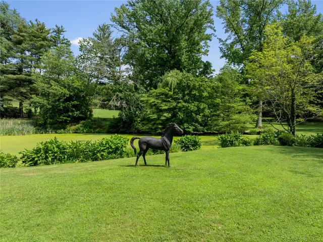 a view of a garden with a bench