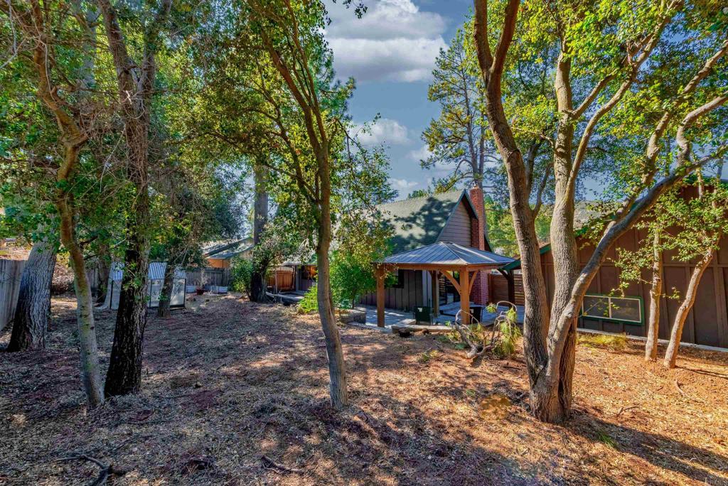 8127 Valley View Trail Pine Valley, CA 91962 - Photo 39 of 46