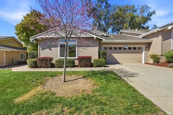 a view of a house with backyard and a tree