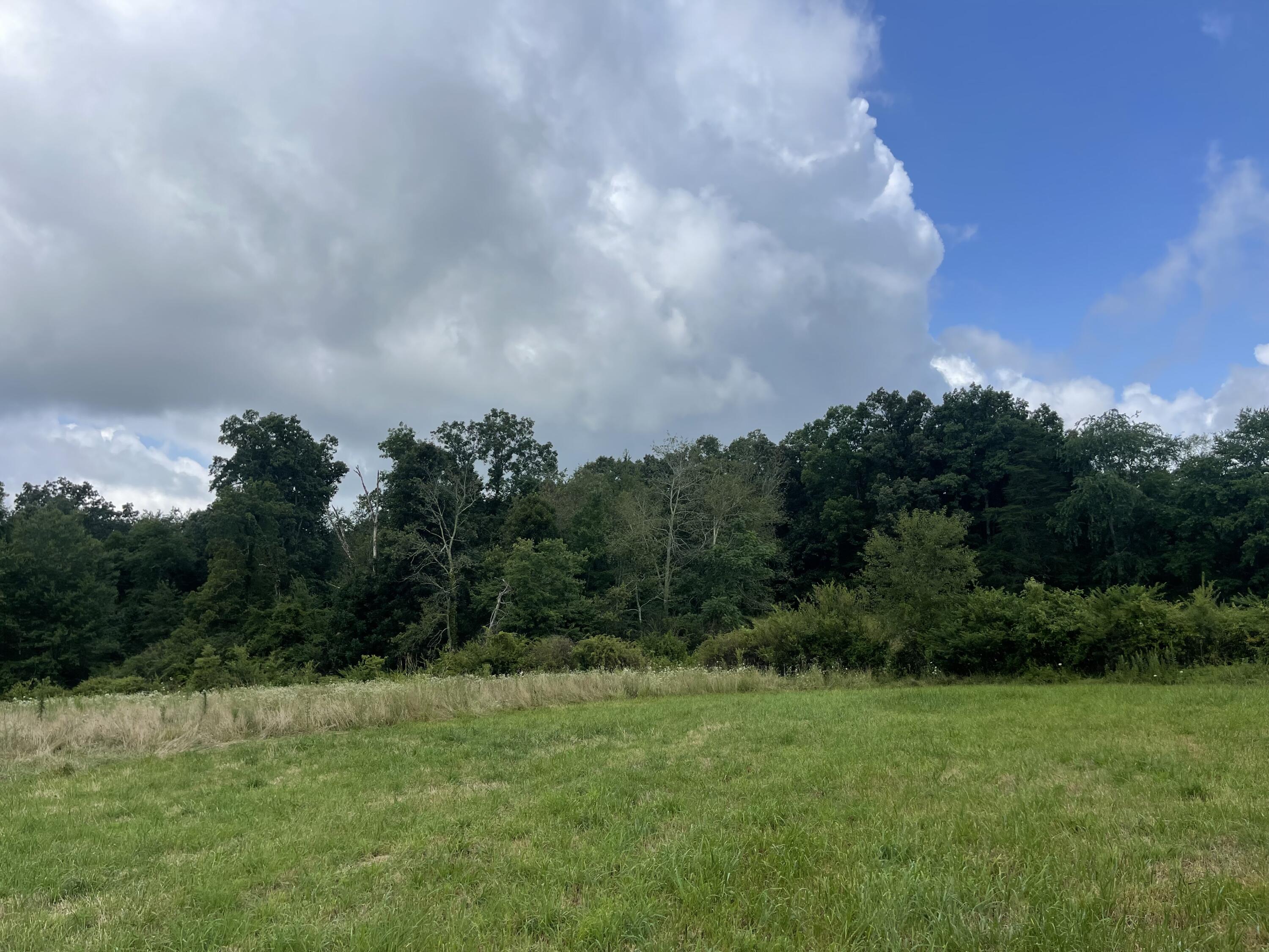 1 Newton Road Crossville, TN 38572 - Photo 6 of 15 IMG_1582