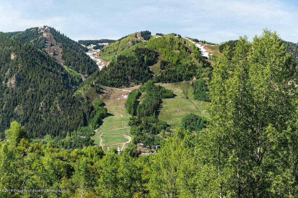 300 Red Mountain Road Aspen, CO 81611 - Photo 12 of 14 RubeyParcel