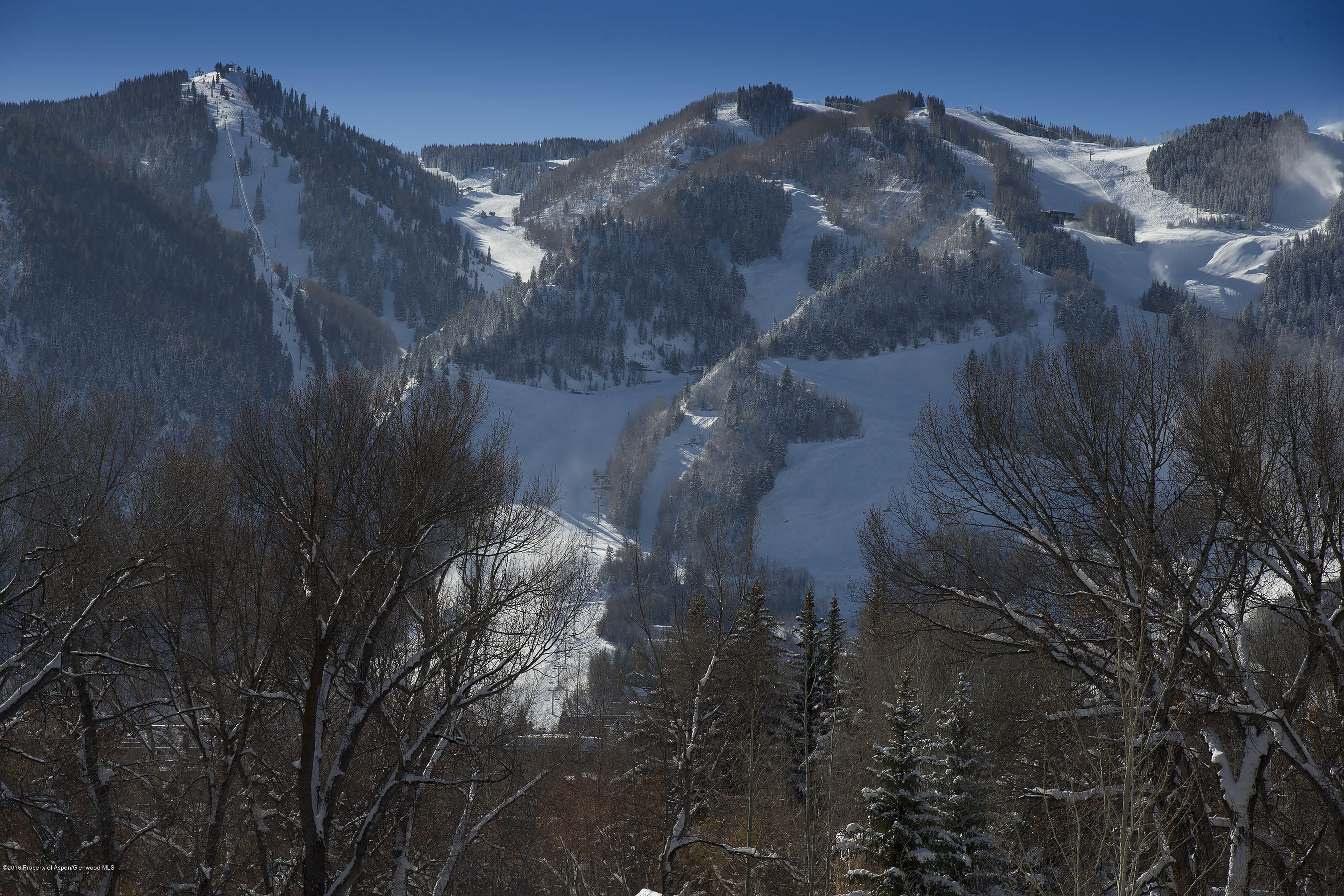 300 Red Mountain Road Aspen, CO 81611 - Photo 6 of 14 BergRubeyLot_CREST406