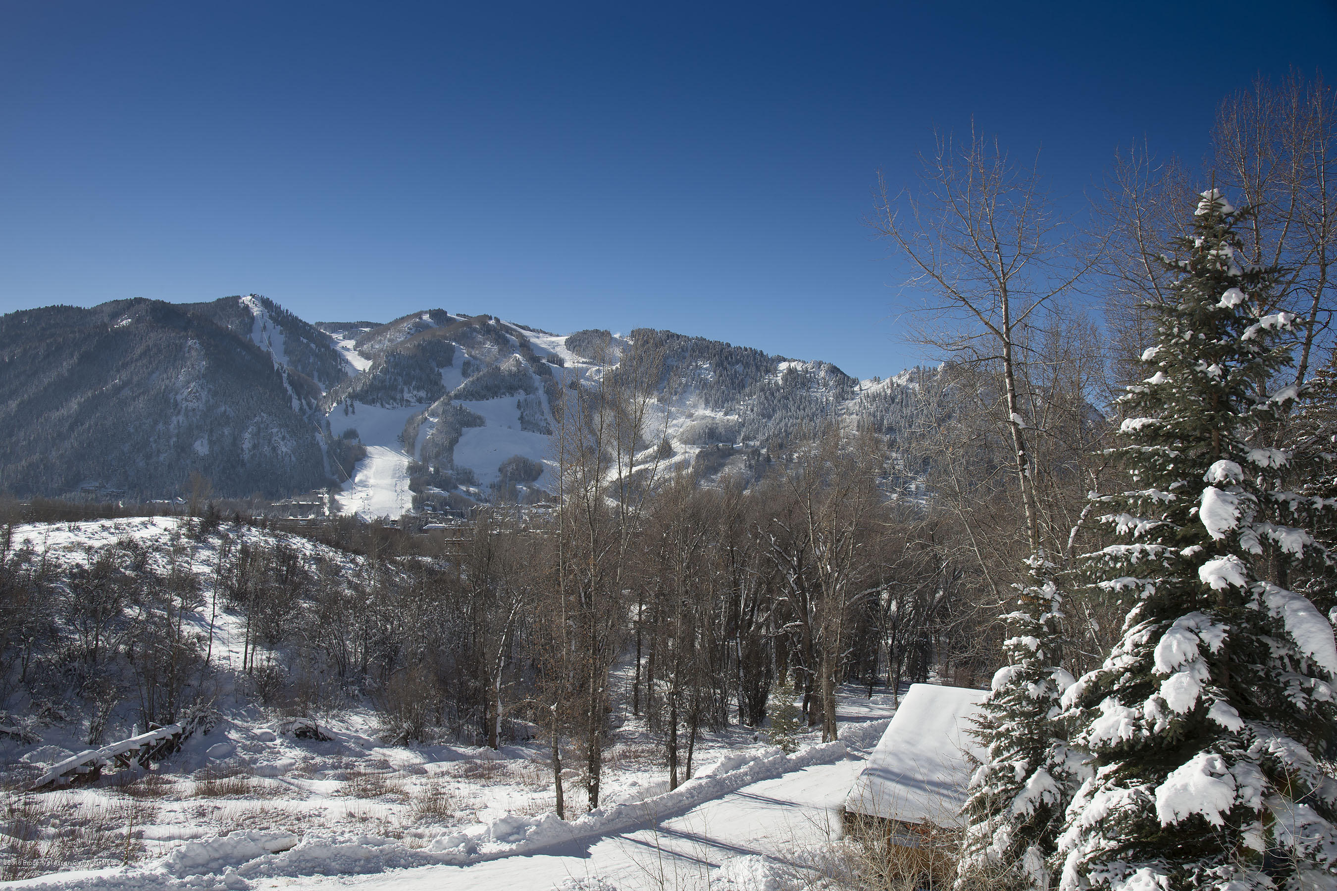 300 Red Mountain Road Aspen, CO 81611 - Photo 7 of 14 BergRubeyLot_CREST401