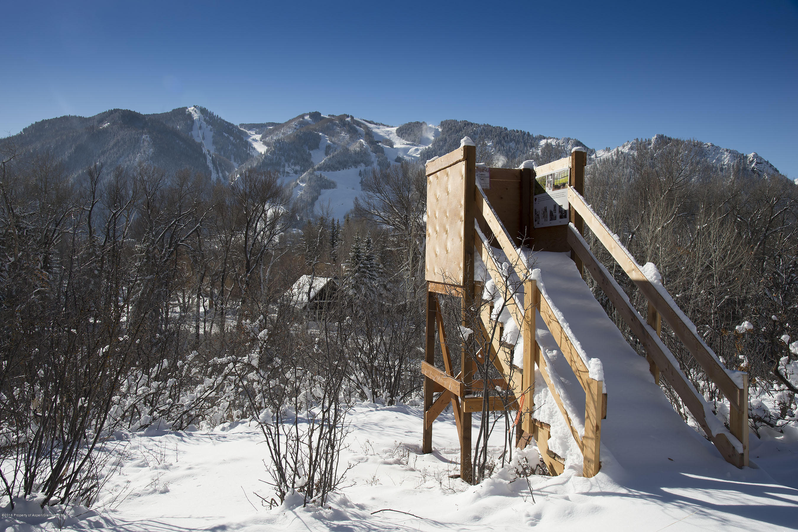 300 Red Mountain Road Aspen, CO 81611 - Photo 8 of 14 BergRubeyLot_CREST402