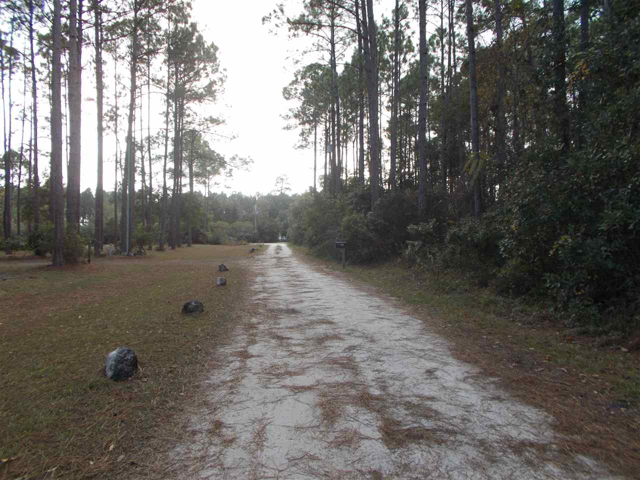 Normans Way Panacea, FL 32346 - Photo 1 of 3 Gallery Image 1