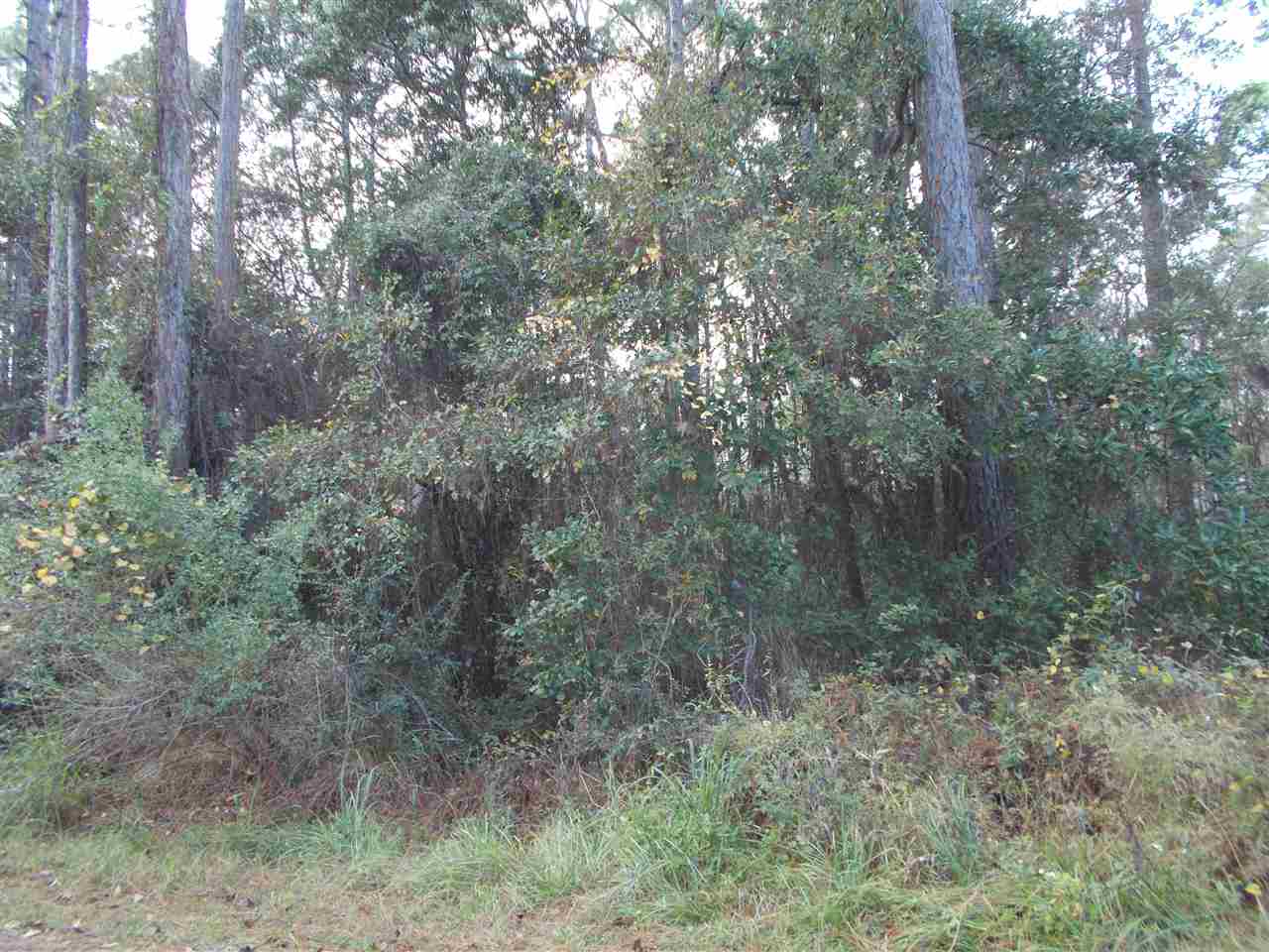 Normans Way Panacea, FL 32346 - Photo 3 of 3 Gallery Image 3