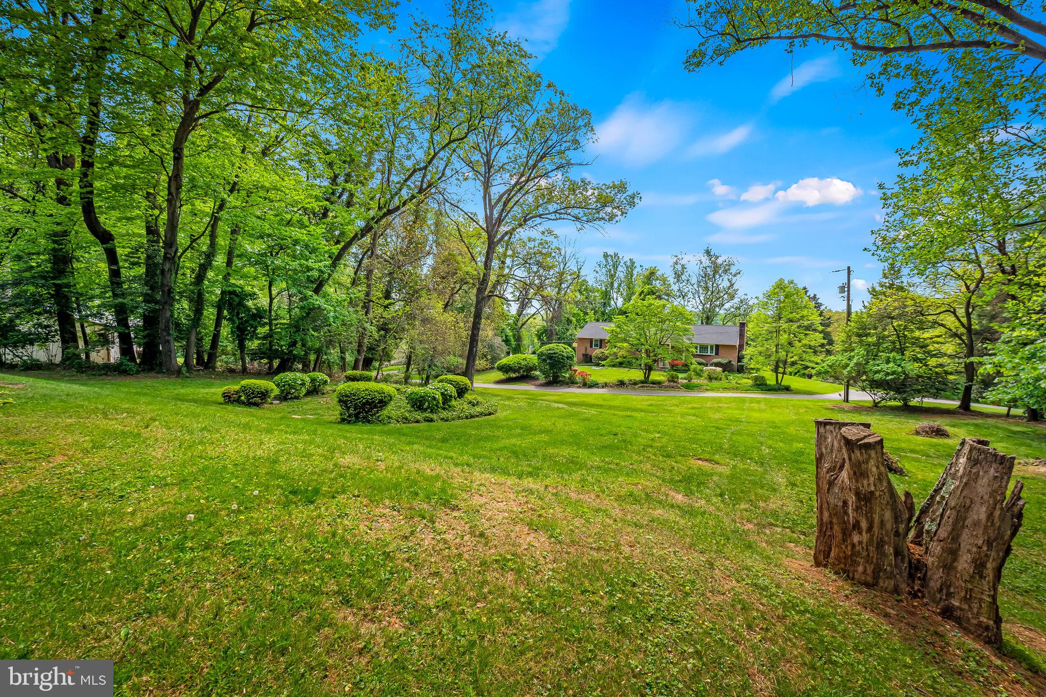 2115 Our Lane Stevenson, MD 21153 - Photo 44 of 48 a view of a park with large trees