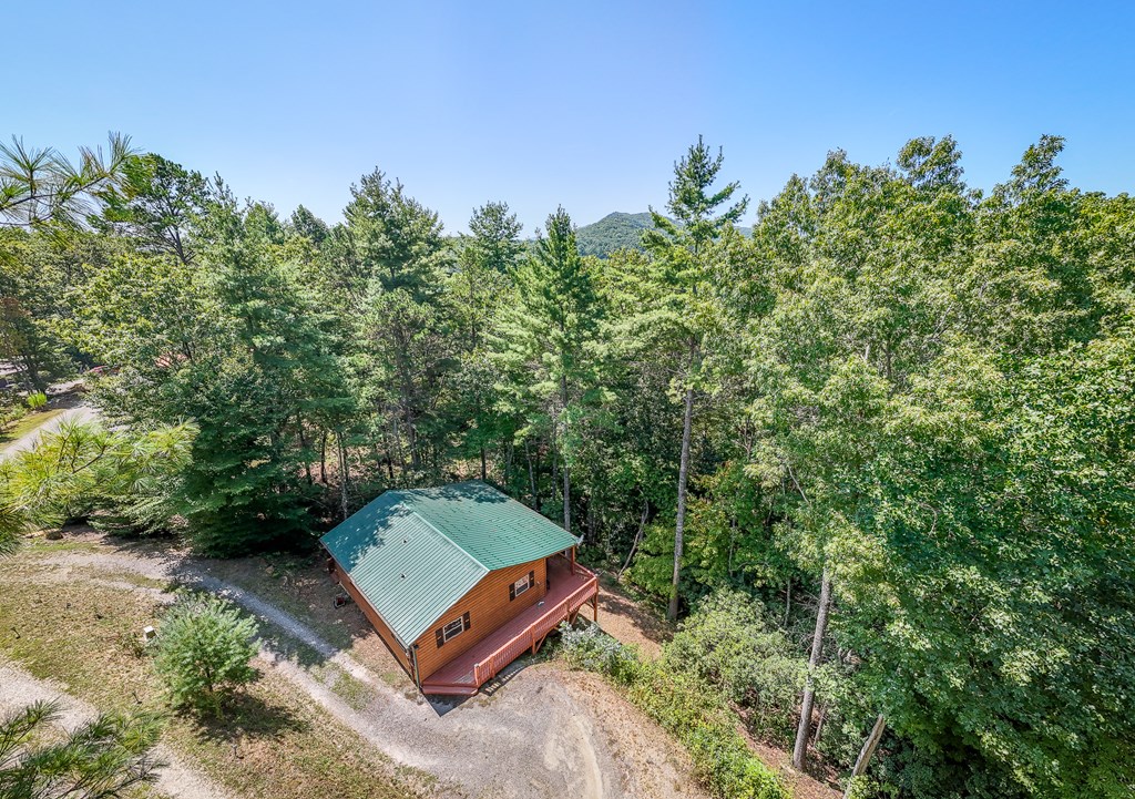 15 Fern Rdg Trail Murphy, NC 28906 - Photo 23 of 40 an aerial view of a house with a yard