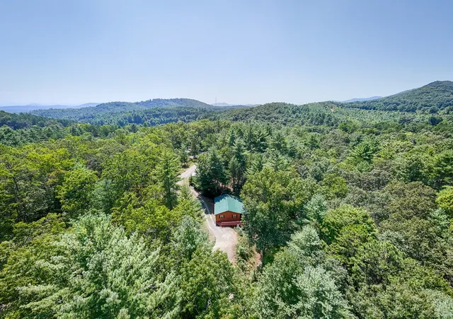 a view of a lush green forest with trees in the background