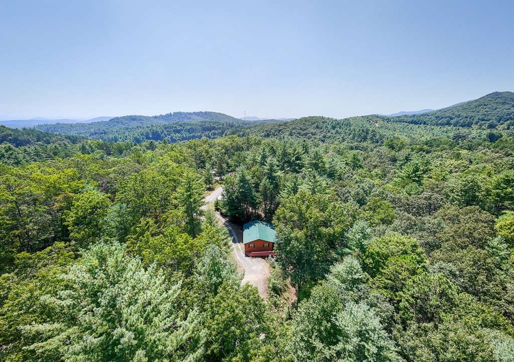 15 Fern Rdg Trail Murphy, NC 28906 - Photo 24 of 40 a aerial view of a house with a yard and mountain