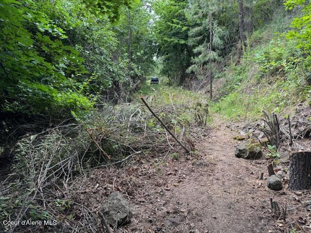 22 Acres Harrison Id  
