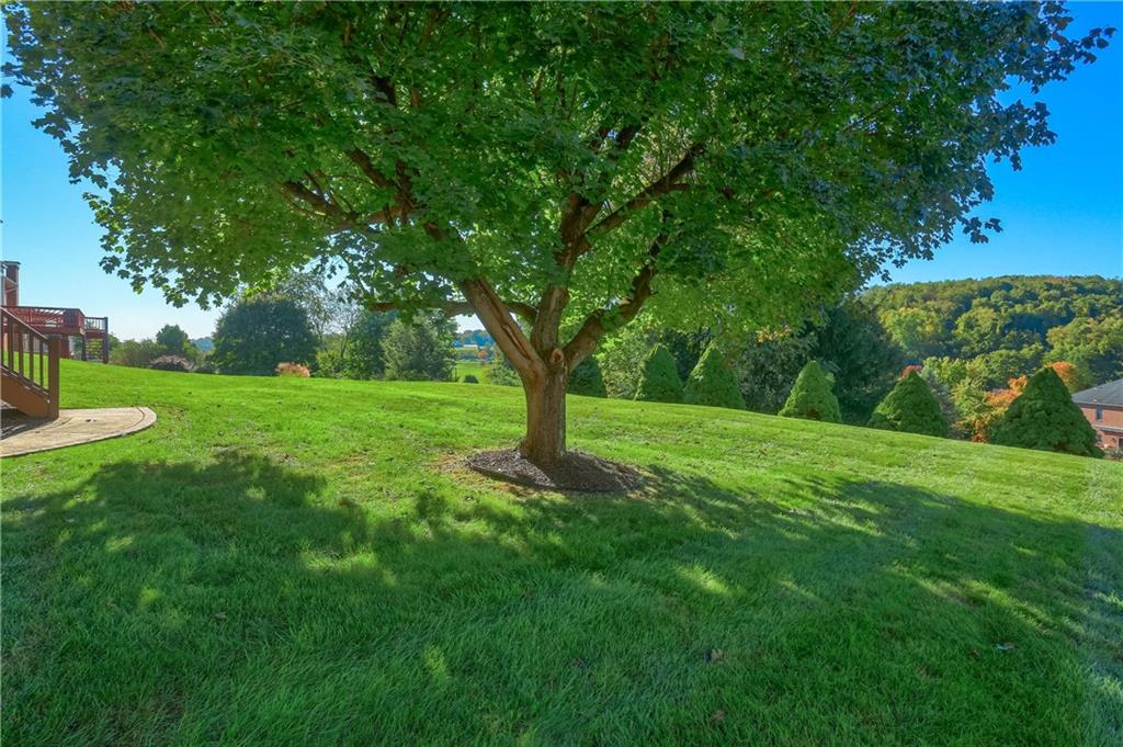 127 Field Club Circle McKees Rocks, PA 15136 - Photo 4 of 50 Gallery Image 4