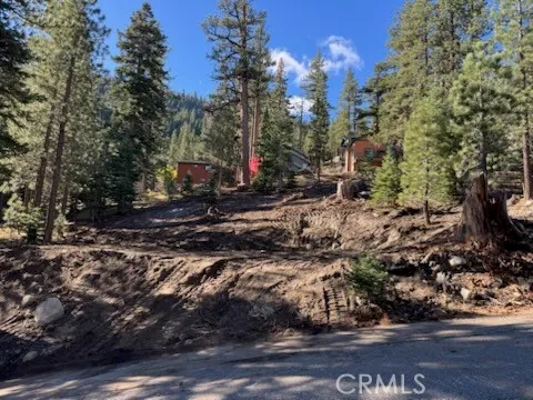 a view of a yard with plants and trees