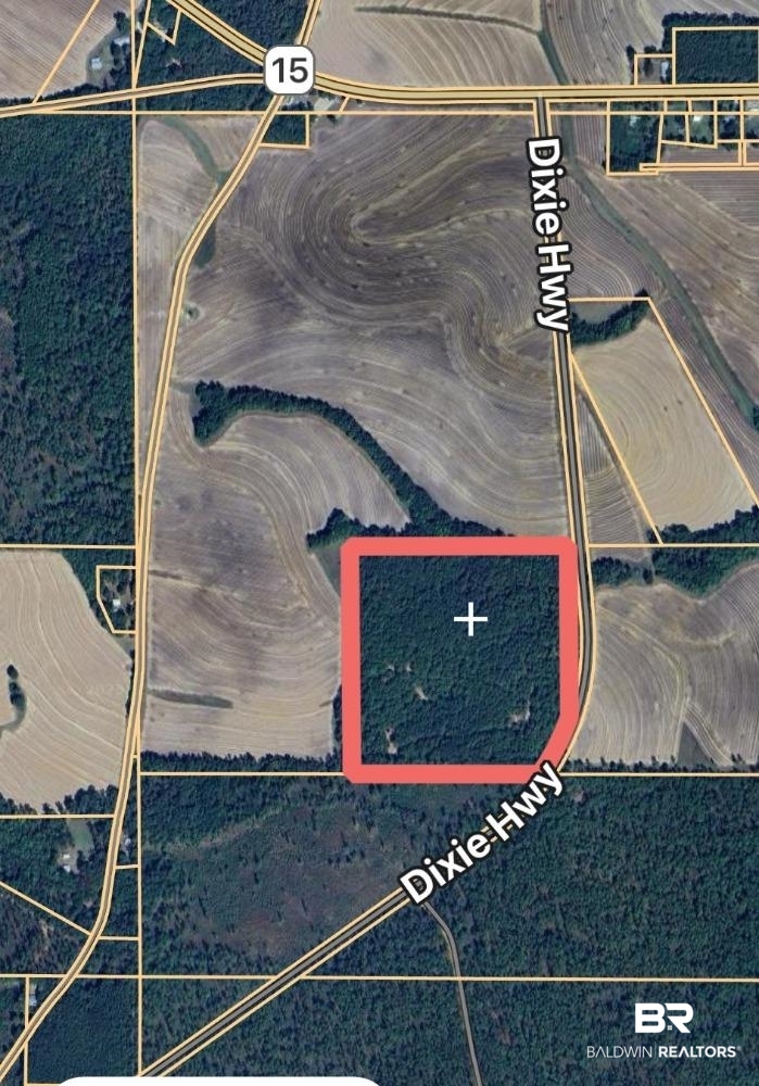 0 Dixie Road Andalusia, AL 36420 - Photo 1 of 2