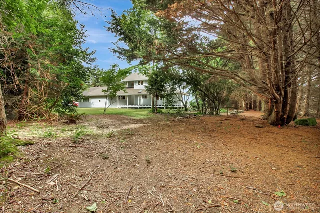 a bed sitting in a yard with large trees