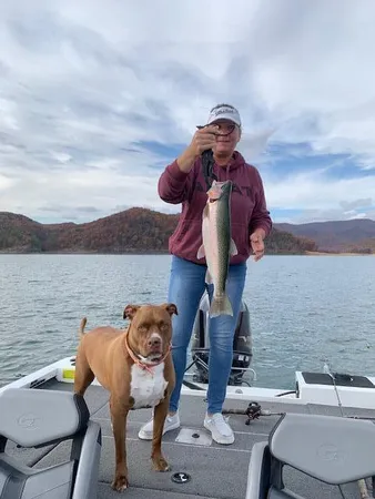 $1,790,000 | 144 Seven Ridges Road, Hot Springs, VA 24445