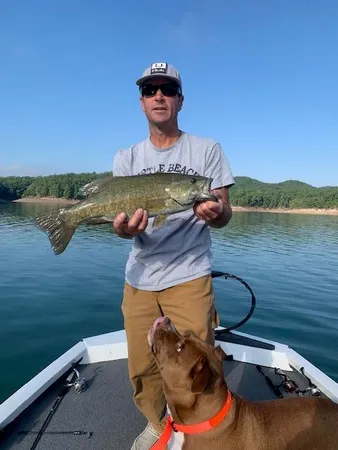 $1,790,000 | 144 Seven Ridges Road, Hot Springs, VA 24445