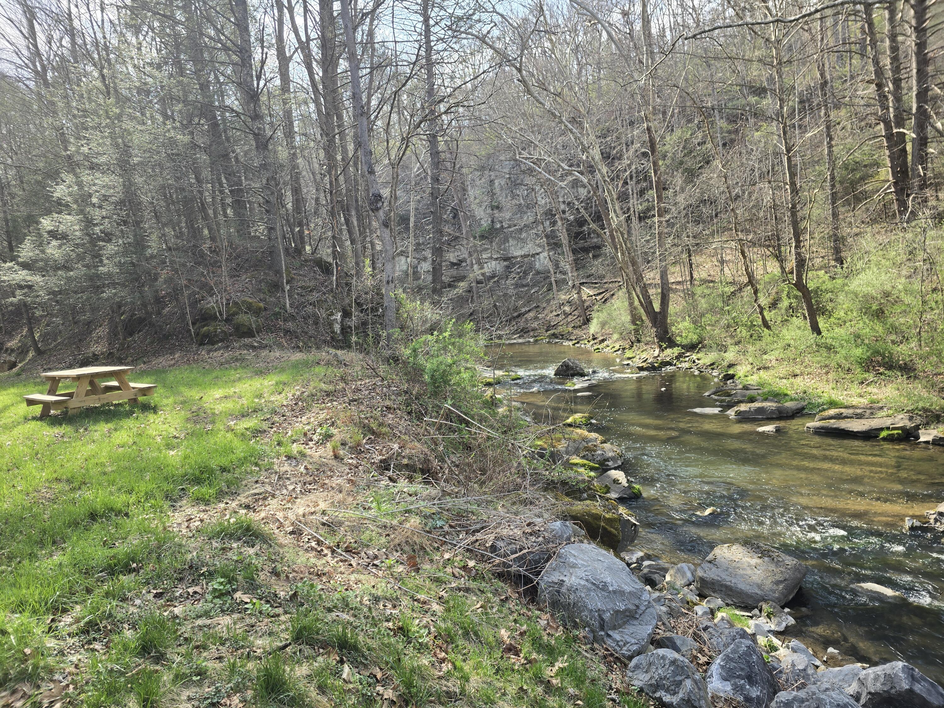 144 Seven Ridges Road Hot Springs, VA 24445 - Photo 80 of 99 cliff & table