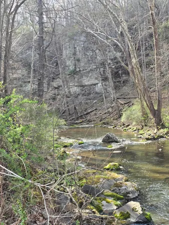 $1,790,000 | 144 Seven Ridges Road, Hot Springs, VA 24445