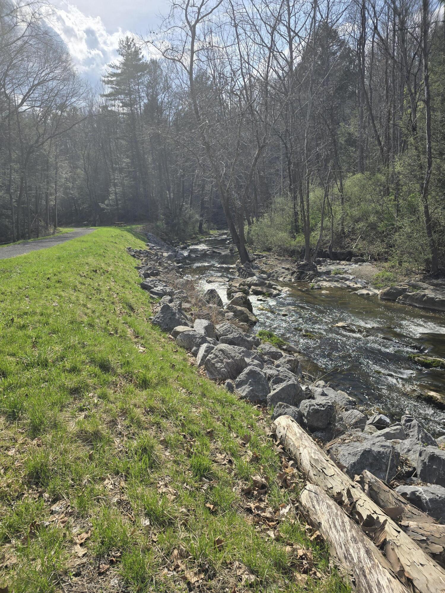 144 Seven Ridges Road Hot Springs, VA 24445 - Photo 83 of 99 stream along trail