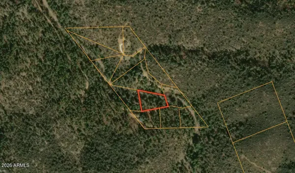 $60,000 | 0 Forest Service Road, Prescott, AZ 86303