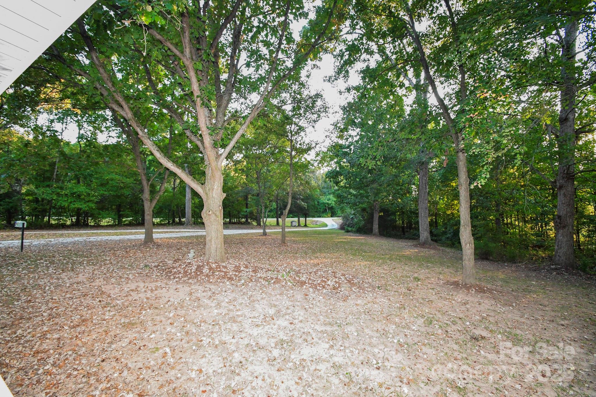 7817 Carl Polk Road Monroe, NC 28110 - Photo 9 of 22