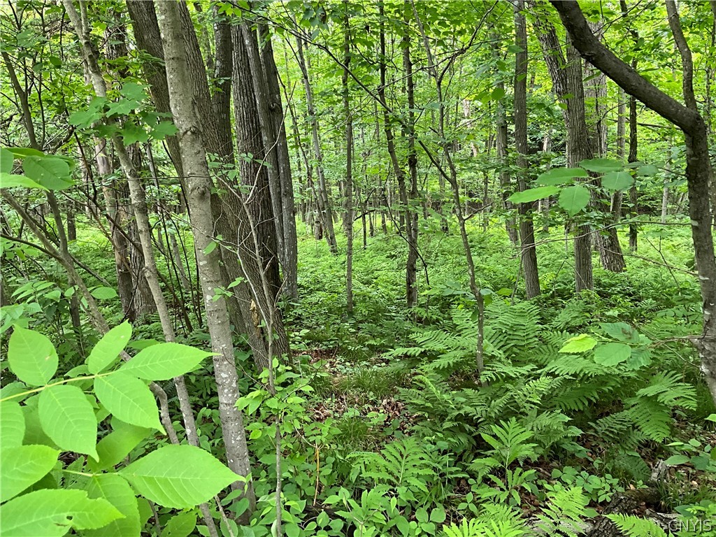 0 County Rte 35 Canton, NY 13617 - Photo 23 of 33